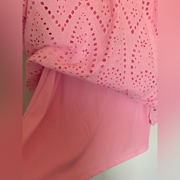 Boston Proper Pink Eyelet Dress - Picture 9 of 12
